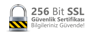 256-bit-ssl-300x116
