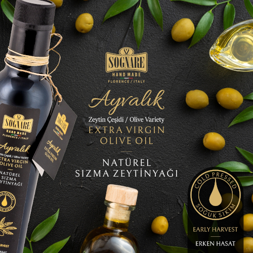 Sognare Zaytinyağları 500